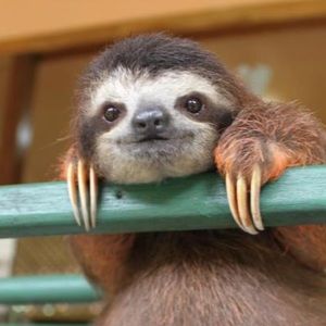 Meet your Posher, Daniela